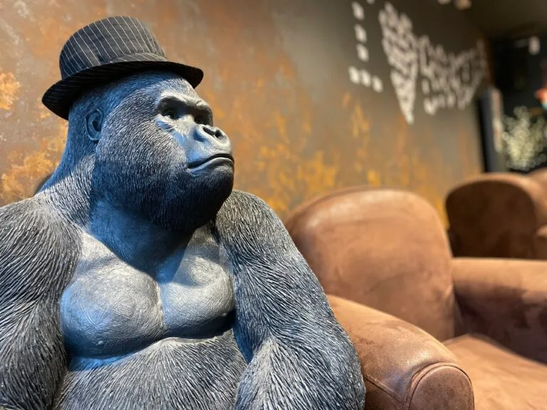 Bar Le Brazza à Briouze, situé à quelques minutes à pieds du Festival Art Sonic