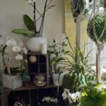 L'Atelier Fleur et Couture à Messei : artisan fleuriste et couturière à Messei