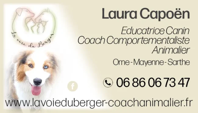 La Voie du Berger - Laura Capoen - coach comportementaliste animalier pour chiens chats chevaux