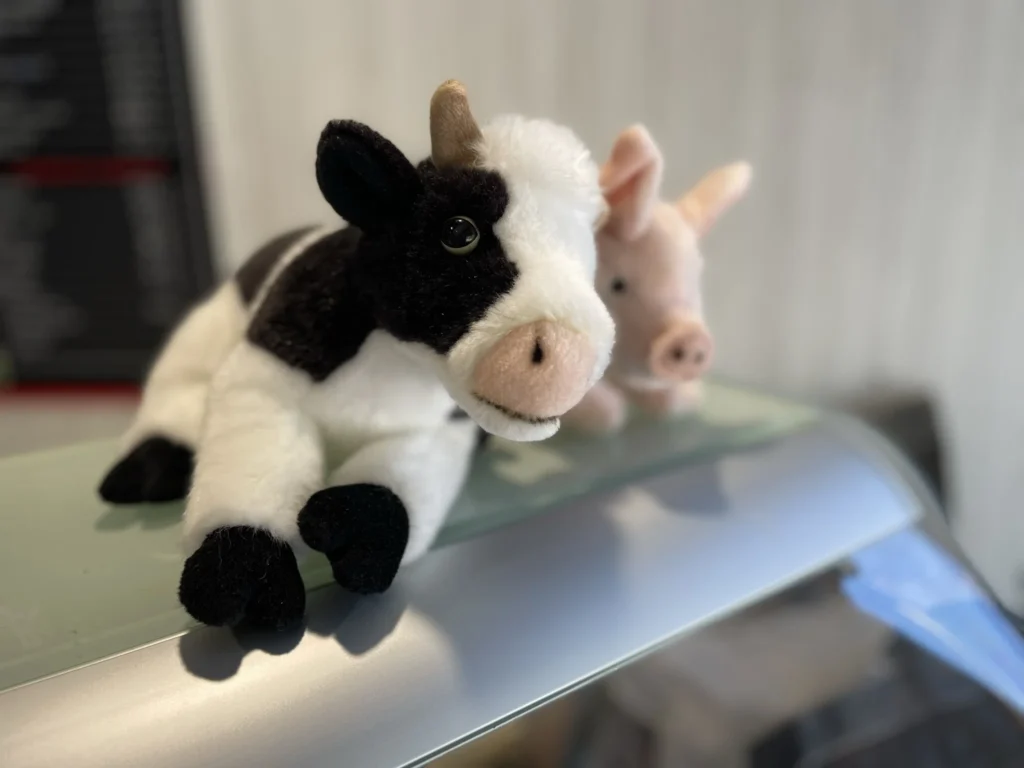 Charcuterie faite maison aux Monts d’Andaine chez Carré Clément