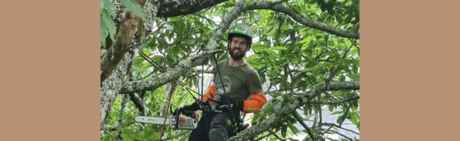 La Voie des Arbres, c'est l'élagage, l'abattage, l'émondage, la taille et l'entretien de vos arbres dans le respect de la nature.
