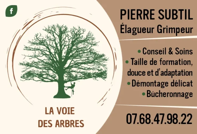 La Voie des Arbres, c'est l'élagage, l'abattage, l'émondage, la taille et l'entretien de vos arbres dans le respect de la nature.