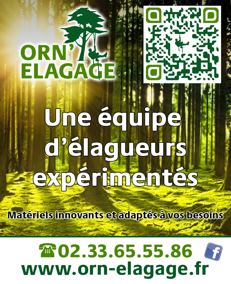 Orn'Elagage, spécialiste de l'élagage à Flers