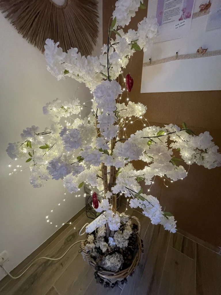 Nad Coiff: L'Adresse Incontournable pour une Coloration Naturelle près de Flers