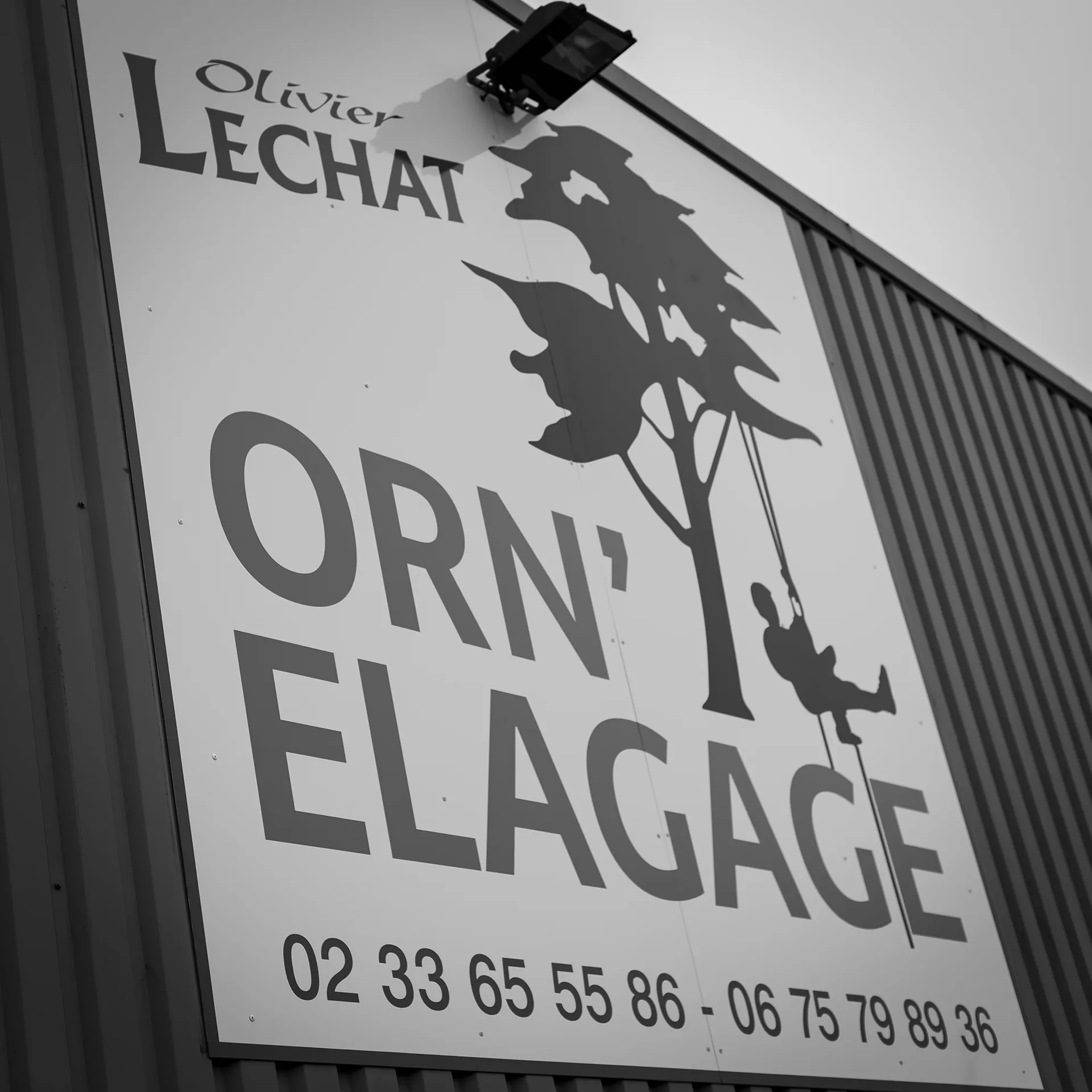 Orn'Elagage - Conseils personnalisés pour la gestion et l'entretien des arbres à Flers, Orne