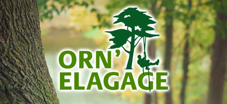 A Flers, faites appel à Orn'Elagage pour couper, élaguer, et entretenir vos arbres. Secteurs Flers, Condé en Normandie, Briouze Messei.