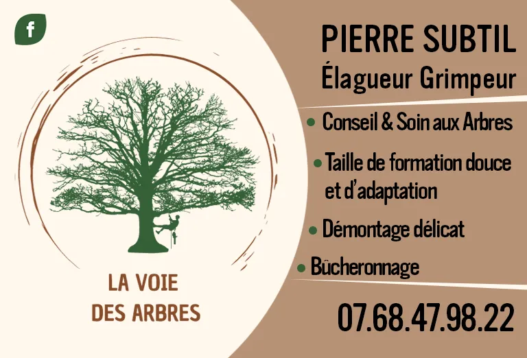 La Voie des Arbres : élagage à Briouze et environs