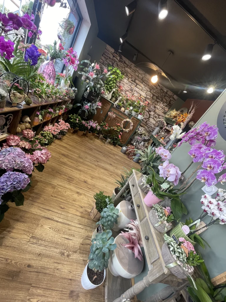 Atelier de création florale pour enfants à Argentan - L’Amaryllis