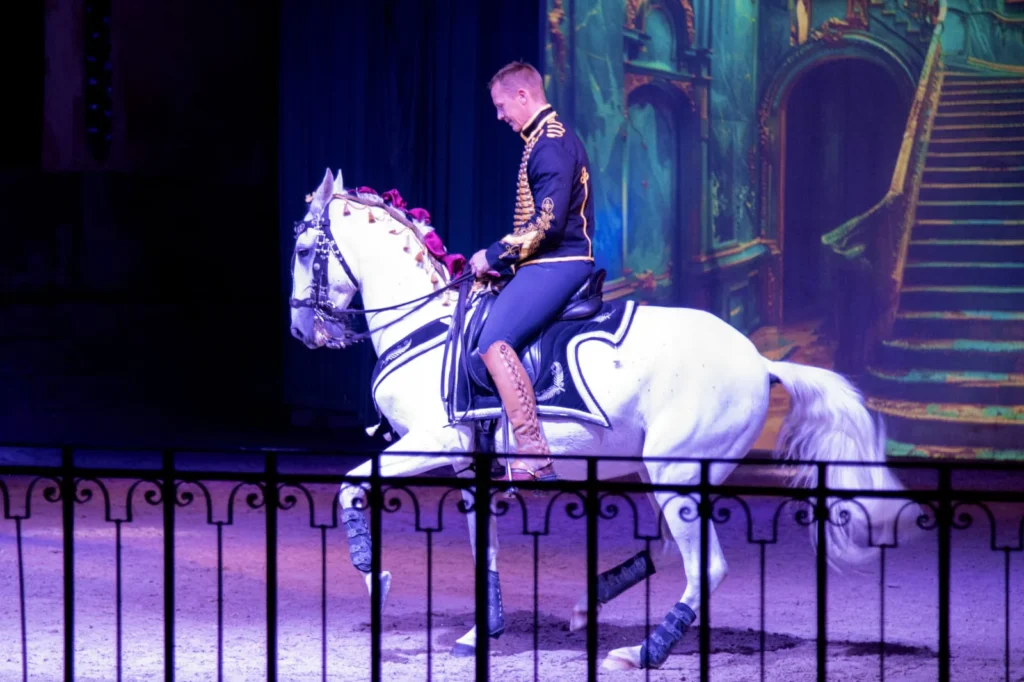 SARL Ramoneurs Normands ramonage à Flers et alentours