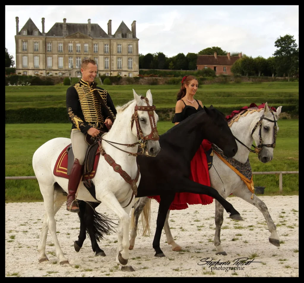 Débistrage conduit professionnel SARL Ramoneurs Normands à Vire