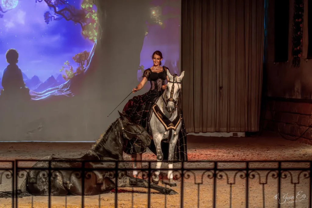 Ramonage par SARL Ramoneurs Normands à Valdallière service expert