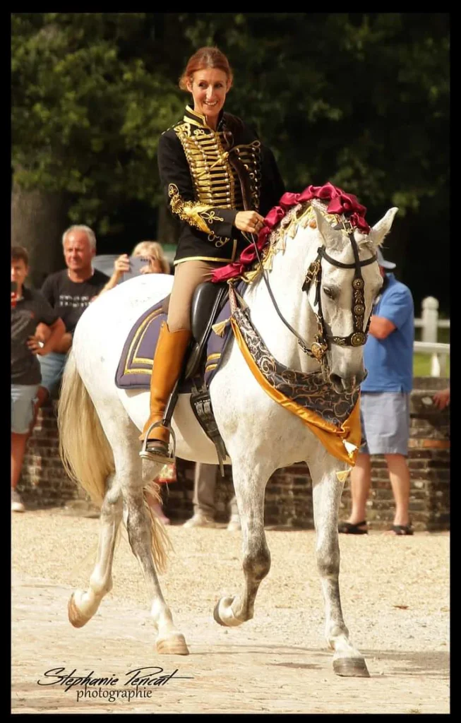 SARL Ramoneurs Normands nettoyage cheminée à Condé en Normandie