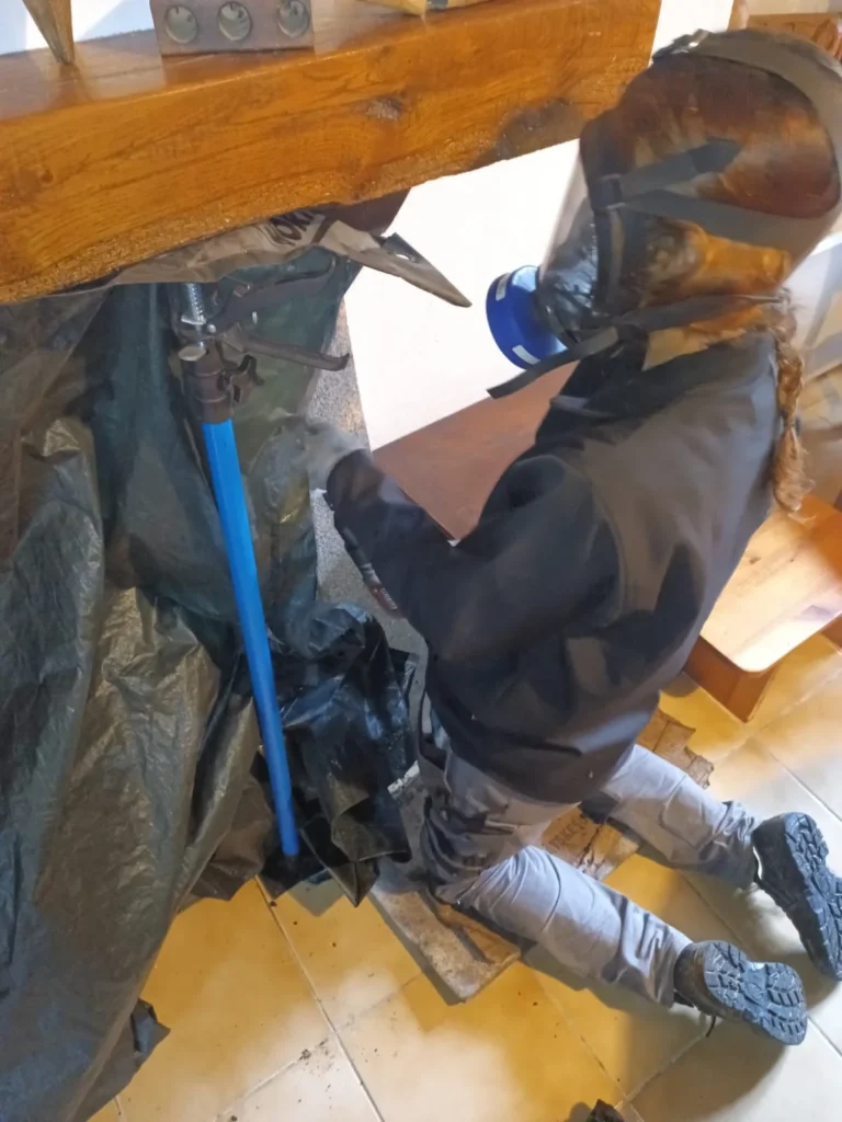 Ramoneurs Normands débistrage efficace à Athis Val de Rouvre