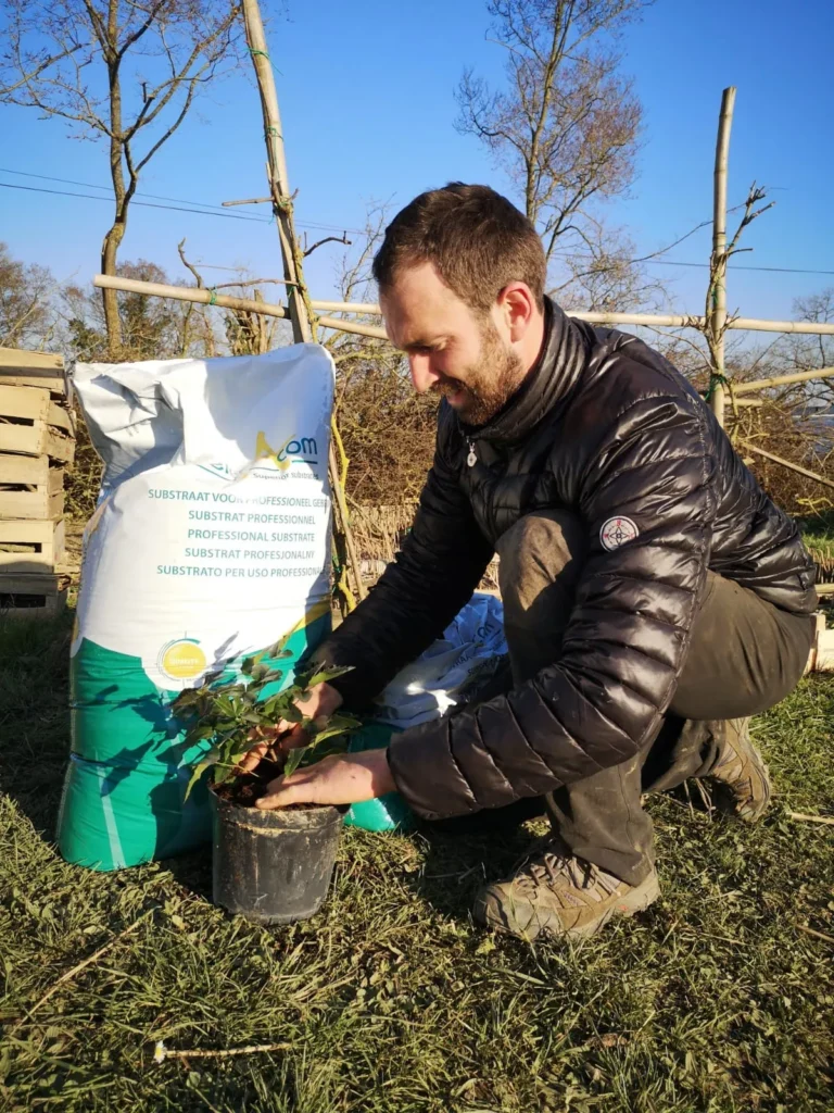 Vente de plants de saisons à Pont D'Ouilly chez Les jardins De Chawi