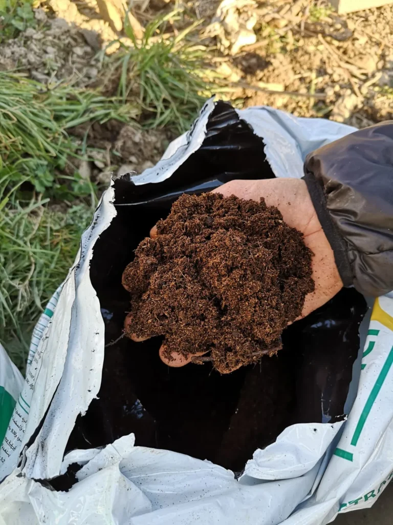 Vente de plants de saisons à Pont D'Ouilly chez Les jardins De Chawi