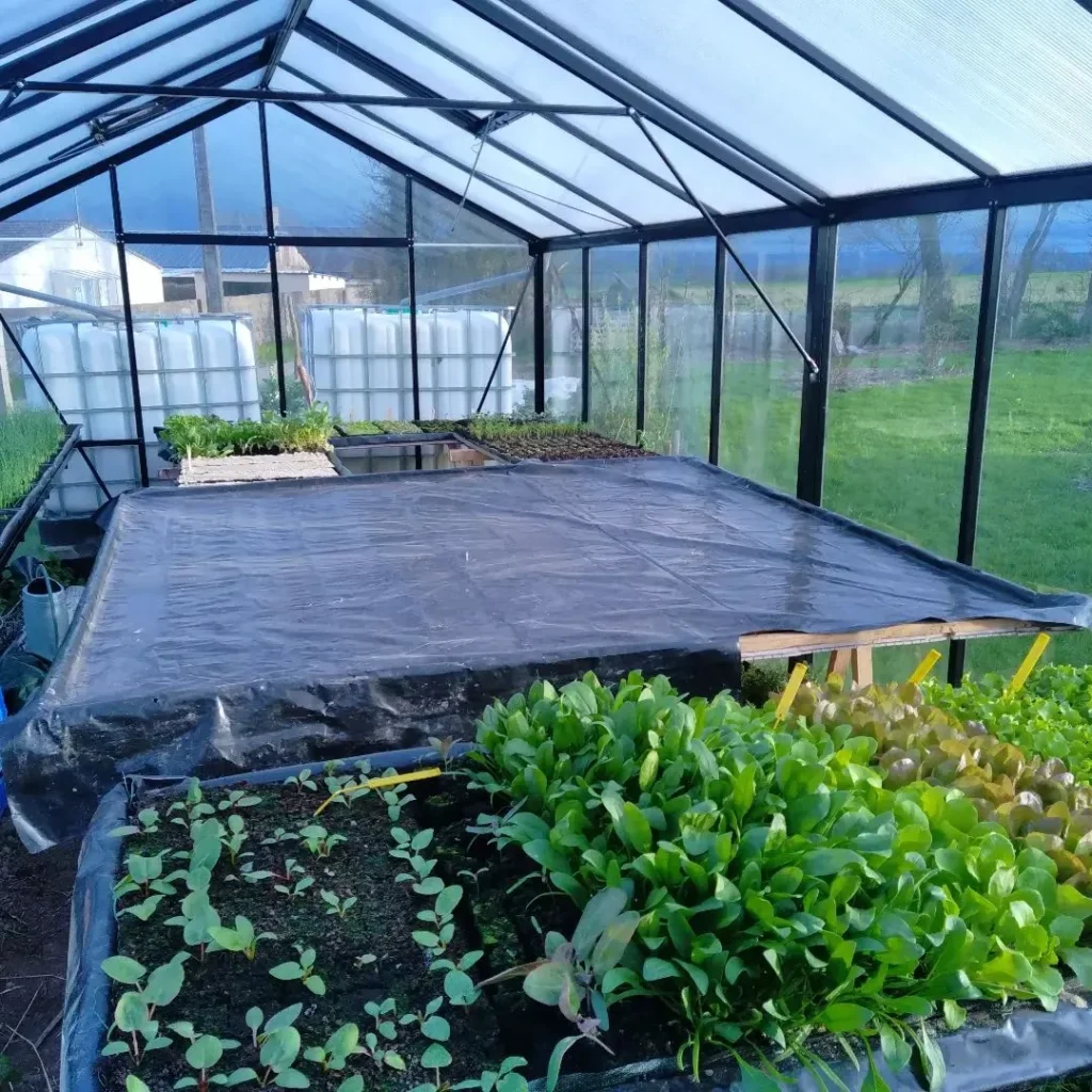 Vente de plants de saisons à Pont D'Ouilly chez Les jardins De Chawi