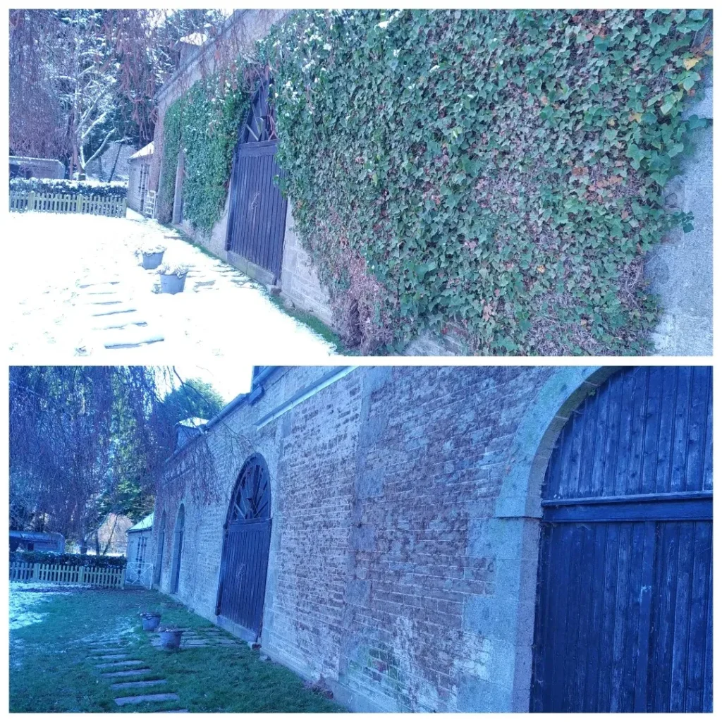 entretien de jardin par les jardins de Chawi à pont d'Ouilly, Athis, Condé en Normandie, Falaise