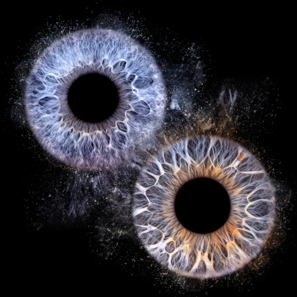 Photo artistique d’iris réalisée en studio à Domfront chez Photo Flash